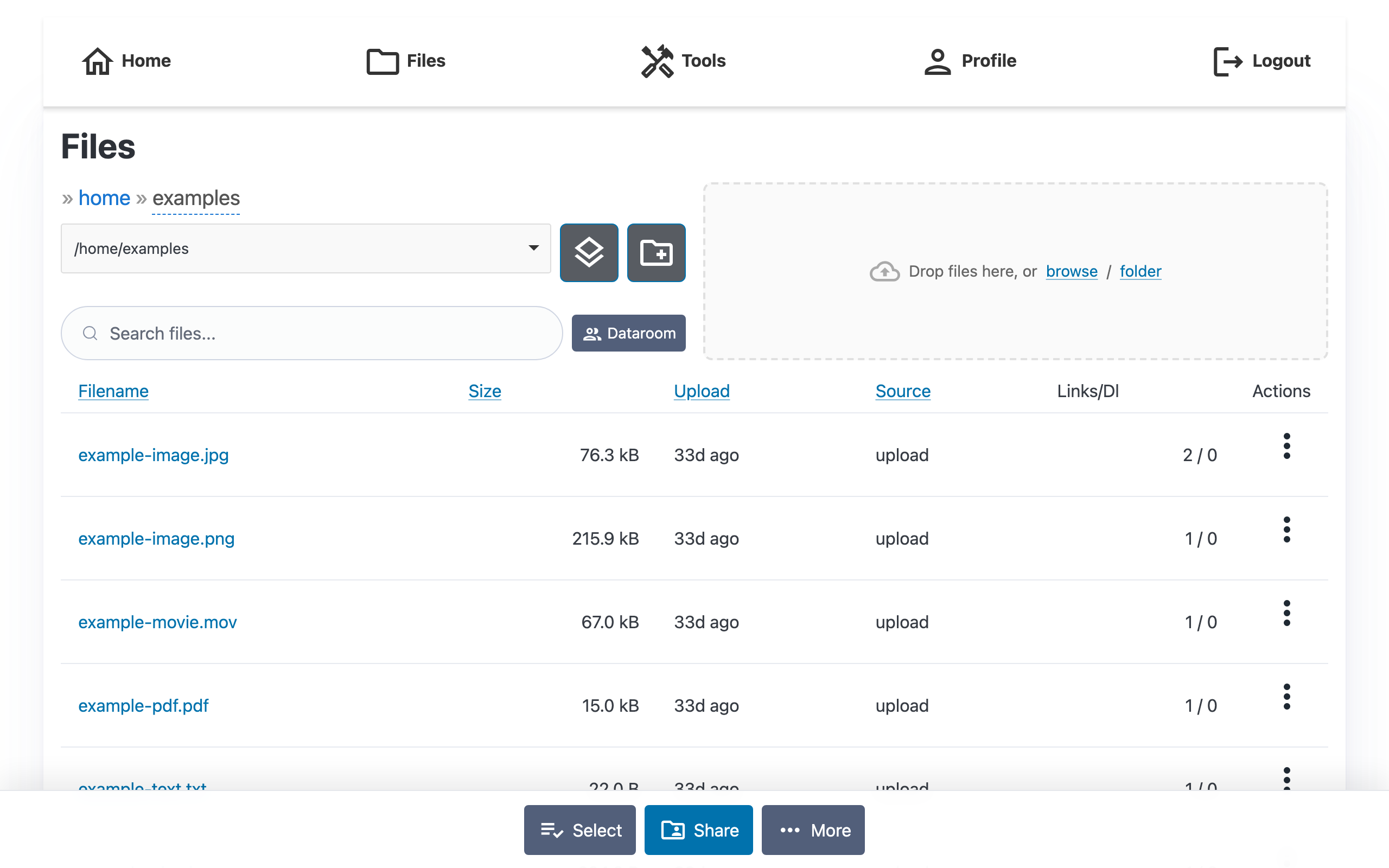 File Management Interface